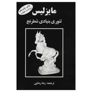 کتاب مایزلیس