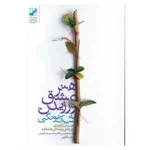کتاب هنر عشق ورزیدن به سبک یونگی