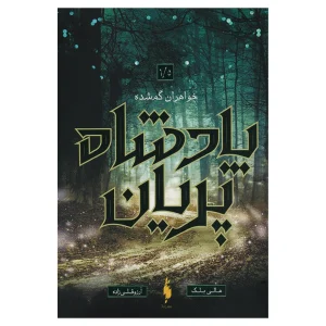 کتاب خواهران گمشده
