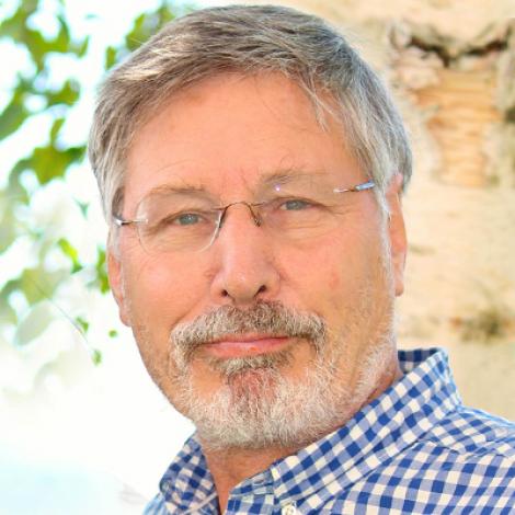 بسل ون در کولک (Bessel van der Kolk)