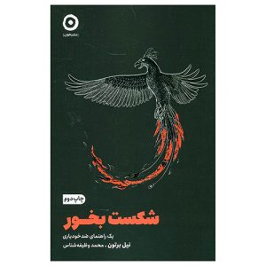 کتاب شکست بخور (یک راهنمای ضدخودیاری) اثر نیل برتون