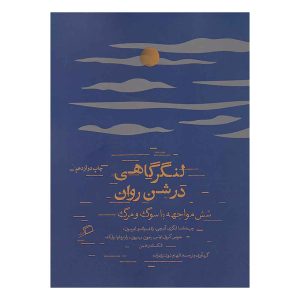کتاب لنگرگاهی در شن روان اثر چیماماندا انگزی آدیچی