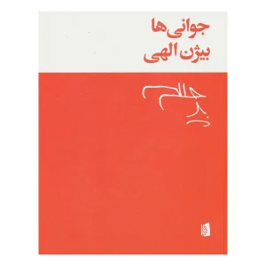 کتاب جوانی‌ها اثر بیژن الهی